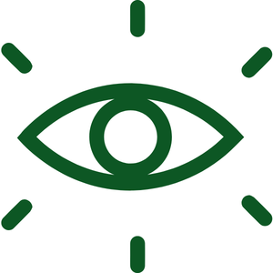 Age related Vision Loss?