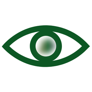 Blurry, Unfocused Vision?